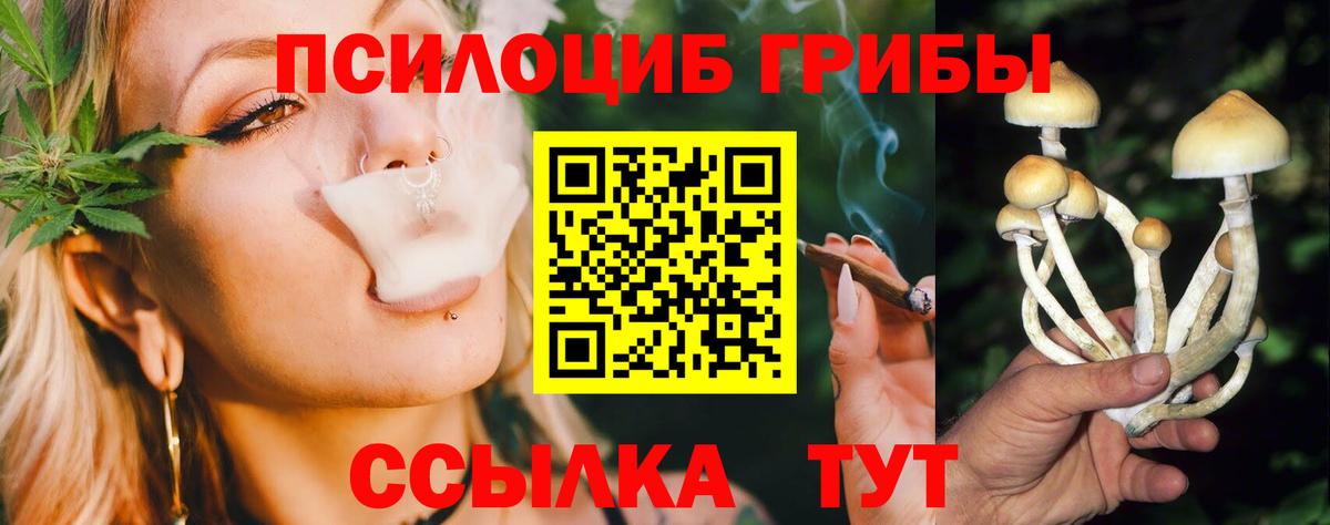 Галлюциногенные грибы Magic Shrooms  Вход с VPN  Клинцы 